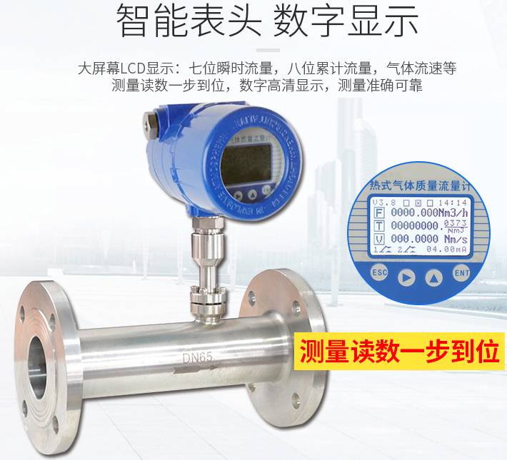 管道式熱式氣體質(zhì)量流量計(jì)液晶表頭顯示圖